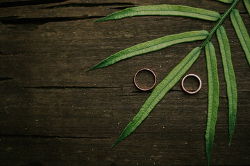 leaf with wedding rings