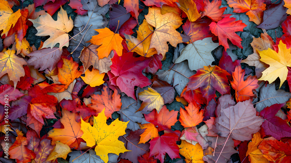 Wall mural the patterns and textures of autumn leaves on the ground, creating abstract compositions