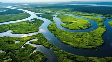 aerial view of a river delta with lush green vegetation and winding waterways