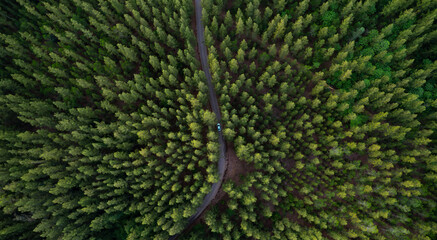Aerial view of dark green forest road and white electric car Natural landscape and elevated roads Adventure travel and transportation and environmental protection concept	