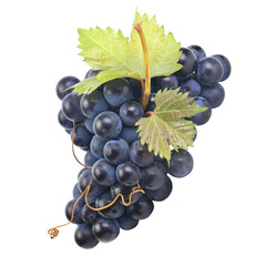 Bunch of grapes isolated on white