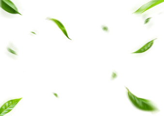 Green Floating Leaves Flying Leaves Green Leaf Dancing, Air Purifier Atmosphere Simple Main Picture.