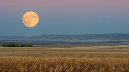 Foto auf Leinwand The harvest moon rising over agricultural fields. The soft light of the moon can add a touch of magic to the scene © Samira