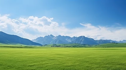 Gordijnen Panoramic natural landscape with green grass field, blue sky with clouds and mountains in background © Usman