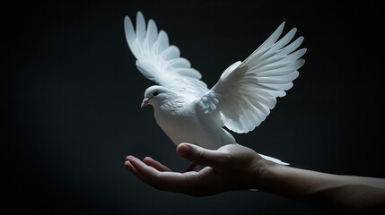 representation of a peace dove holding, wings of peace High detailed,high resolution,realistic and high quality photo professional photography.