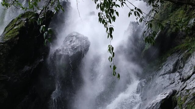 The water flows a lot from the cliffs of a natural waterfall. fullness of forests and nature