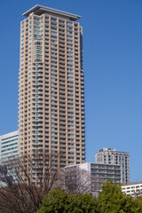 Fototapeta premium 東京港区南青山2丁目の都市風景