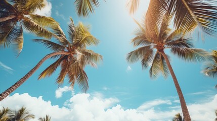 Blue sky and palm trees view from below, vintage style, tropical beach and summer background, travel concept - obrazy, fototapety, plakaty