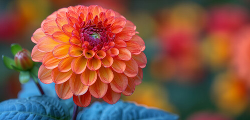  An orange flower with a green stem against a focused red, orange, and yellow backdrop