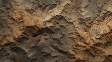 Terrain map. Contours trails, image grid geographic relief