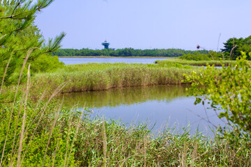 Fototapeta premium Songji Lake View with Migratory Bird Tower in Distance