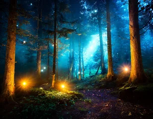 Crédence de cuisine en verre imprimé Forêt des fées Gloomy fantasy forest scene at night with glowing lights 