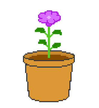 Pixel art purple flowers and flowerpots