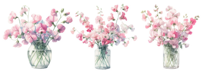 Watercolor illustration material set of sweet peas in a glass vase