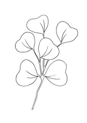 Isolated hand drawn eucalyptus branch with leaves.