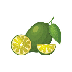 Lime. Ripe green lime with a green leaf. Whole and sliced lime. A tropical fruit. Vector illustration