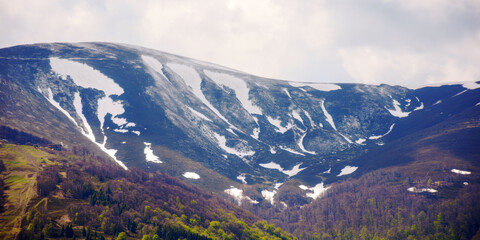 carpathian mountains nature background in spring. landscape with snow capped tops of borzhava in morning light beneath a sky with clouds