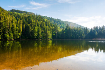 Fototapeta na wymiar lake of synevyr national park in summer. forested hills of carpathian mountains reflecting on the calm water surface. sunny weather. popular travel destination of ukraine