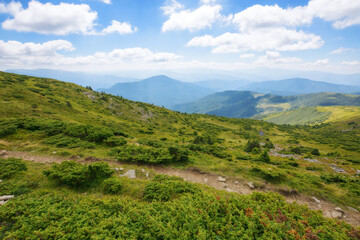 trail through the rolling landscape with hills and meadows of carpathian mountains. alpine scenery of ukrainian highlands. popular travel destination to the mnt. petros of transcarpathia in summer