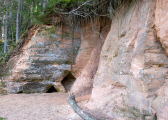 landscape with sandstone outcrops by a small wild river, sandstone texture, old grass, moss and other typical plants, Strikupe, Vaidava, Latvia