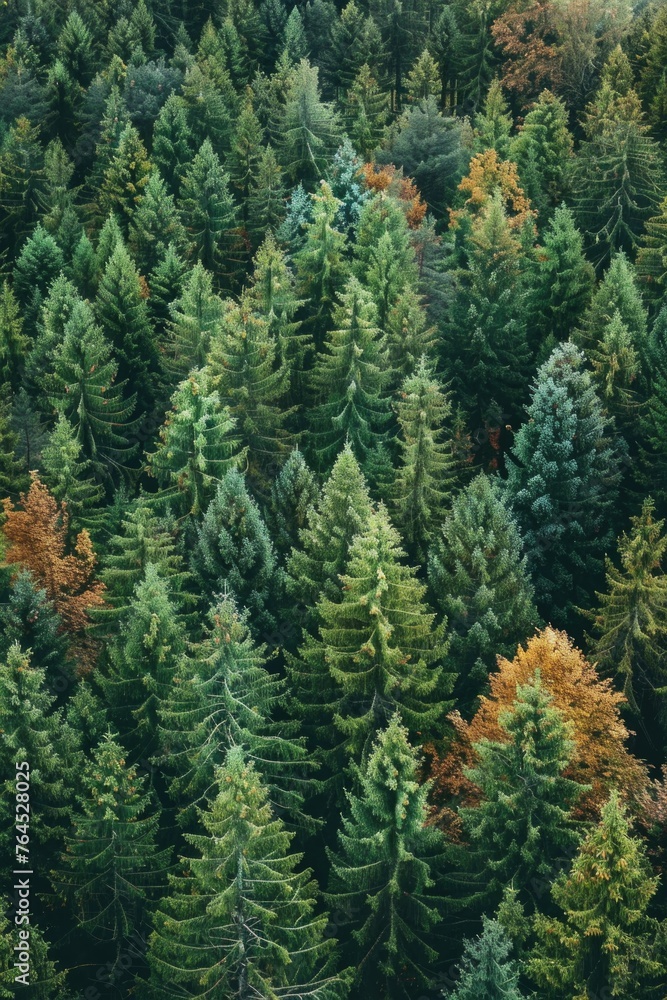 Poster a group of trees standing in the grass. suitable for nature backgrounds
