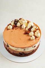 chocolate cake on the white background