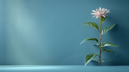  A single pink flower resting on a blue table, near a green foliage plant against a blue backdrop
