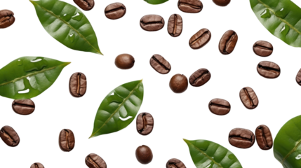Top-down view of water drops on coffee leaves and seeds