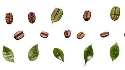 Top-down view of water drops on coffee leaves and seeds