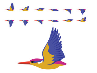 Bird Oriental Dwarf Kingfisher Flying Animation Sequence Cartoon Vector
