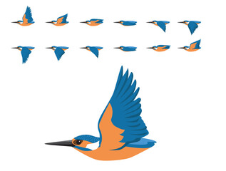 Bird Common Kingfisher Flying Animation Sequence Cartoon Vector