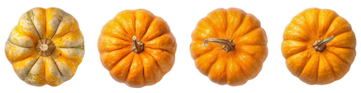 Set of pumpkins isolated on transparent background