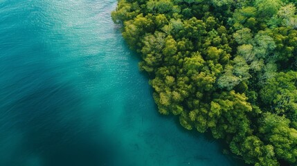 Fototapeta na wymiar Aerial view of mangrove forest and sea.