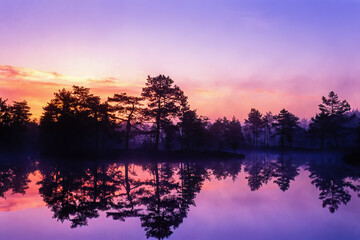 Beautiful dawn light over a forest lake in the wilderness