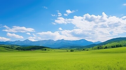 Panoramic natural landscape with green grass field, blue sky with clouds and mountains in background