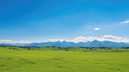 Panoramic natural landscape with green grass field, blue sky with clouds and mountains in background