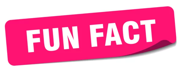 Fotobehang fun fact sticker. fun fact label © B-design