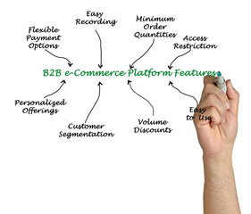 Eight Features of B2B e-Commerce Platform