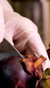 gloved hands cut clean fresh fruit mangosteen purple peel blunt knife hard to cut gloves stone table vitamins