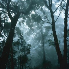 Enchanting landscape covered in dense fog, enhancing the mystical and serene ambiance with towering trees disappearing into the mist.