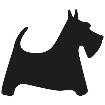 scottish terrier silhouette