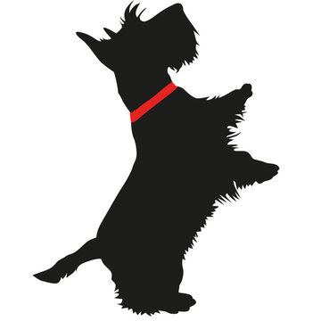 recommend clip art: scottish terrier silhouette