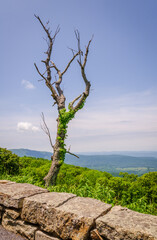 Shenandoah National Park along the Blue Ridge Mountains in Virginia