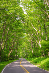 Shenandoah National Park along the Blue Ridge Mountains in Virginia