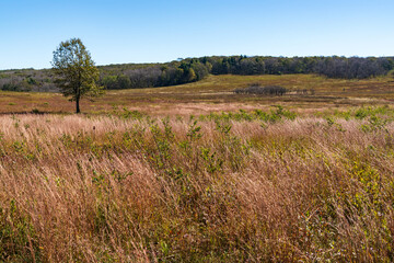 Big Meadows at Shenandoah National Park along the Blue Ridge Mountains in Virginia During Autumn