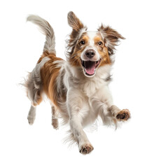 Dog Joyfully Running on transparent background,