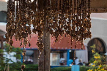 different jewelrys made of wood and corals hanging in a show  in the sun