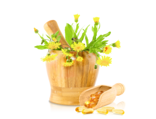 Concepts of Alternative Medicine. Isolated Mortar with Pestle.