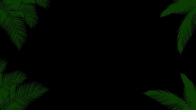 Frame animation of coconut leaves swinging and hanging is good for a summer video template. spring or holidays. with a transparent alpha background