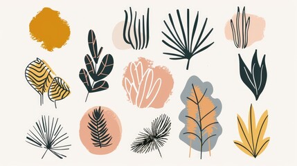 A collection of minimalist abstract nature art shapes